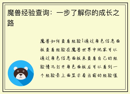 魔兽经验查询：一步了解你的成长之路